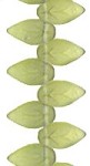 Leaves - Matte Light Olive