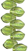 Transparent Green Leaves