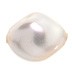 9x8mm Crystal White 16pcs