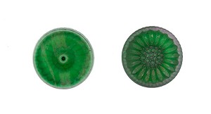 Flat Back Button - Matte Green 2