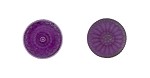 Flat Back Button - Matte Purple 1