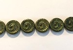 Ammonite Spiral, Metallic Green 1 strand